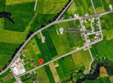 Terreno 2.000 m² en Aloasí con Servicios Básicos y Opción Para Construir 2 Pisos — imagen 5