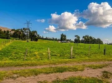 Terreno 2.000 m² en Aloasí con Servicios Básicos y Opción Para Construir 2 Pisos — imagen 4