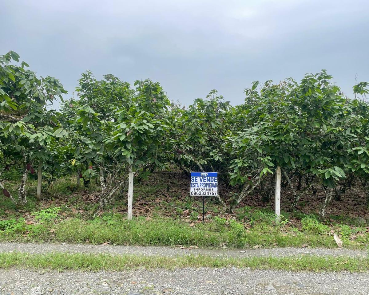 Terreno en venta en La Troncal, Cañar