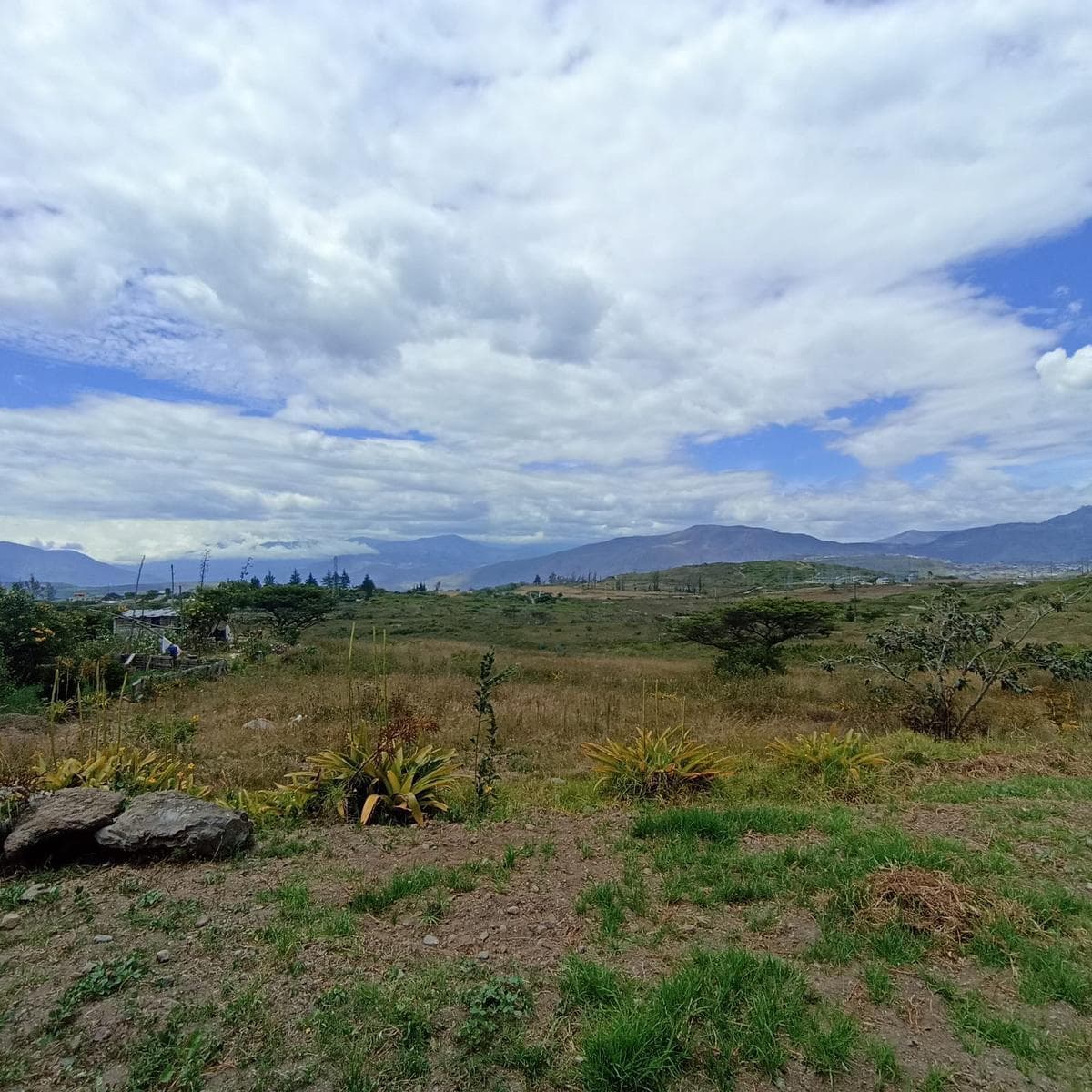 Terreno en venta en Antonio Ante, Imbabura