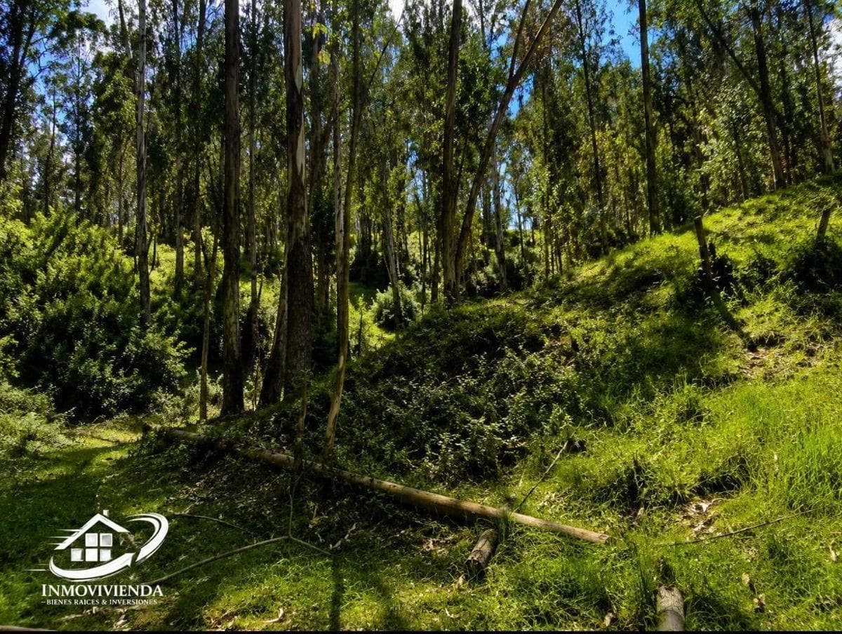 Terreno en venta en Quito, Pichincha
