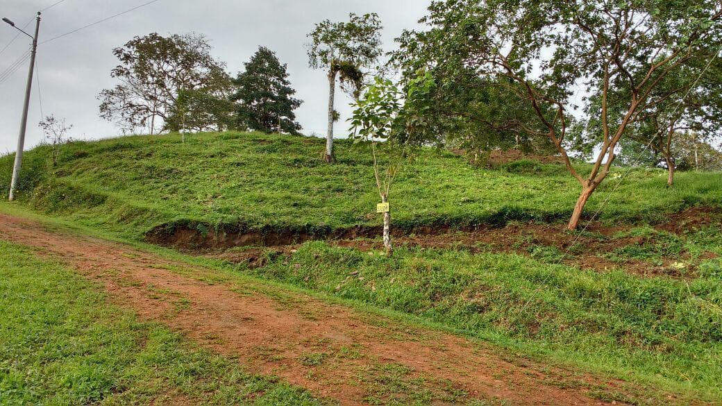 Terreno en venta en Pedro Vicente Maldonado, Pichincha