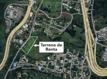 Terreno en Renta Santo Rosa - San Patricio - Cumbayá — imagen 5