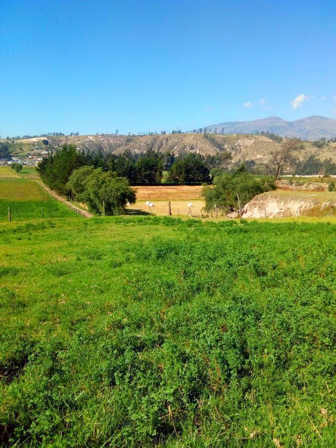 Terreno en venta en Salcedo, Cotopaxi
