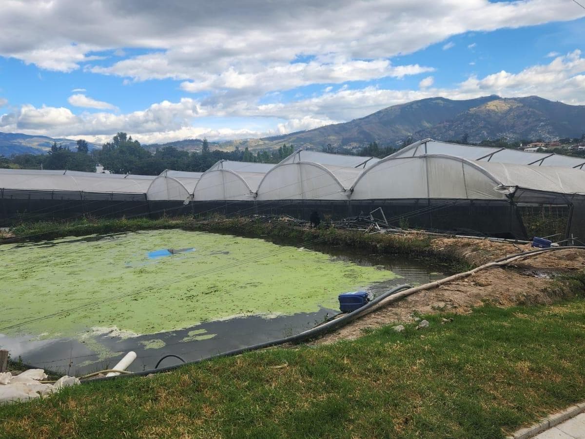 Terreno en venta en Quito, Pichincha