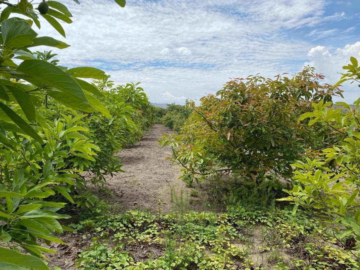 Terreno en venta en Quito, Pichincha
