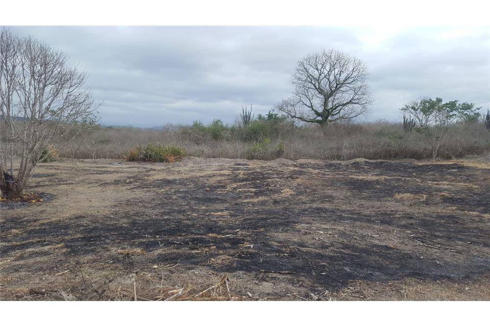 Terreno en venta en Montecristi, Manabí