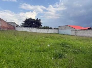 Vendo Terreno en Tumbaco Las Acacias — imagen 5