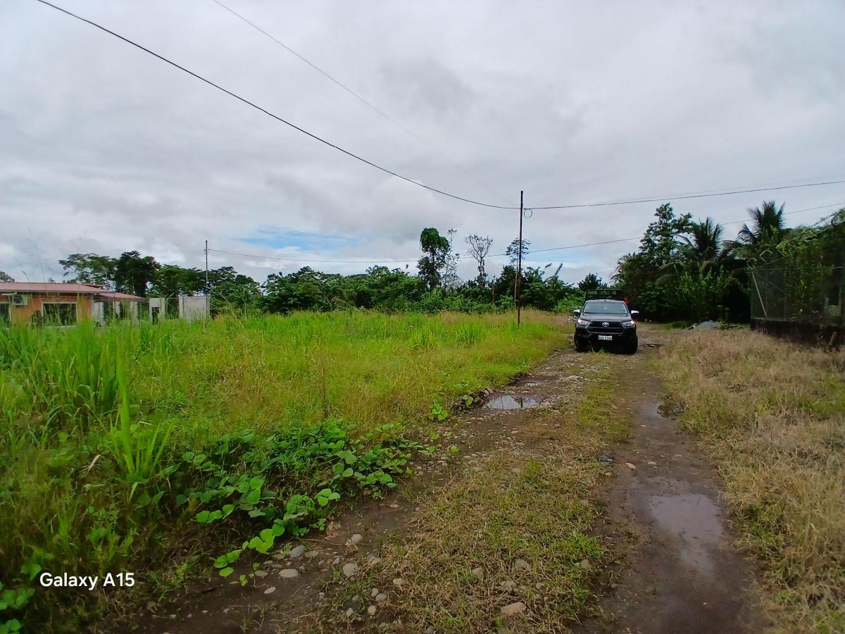Terreno en venta en Orellana, Orellana