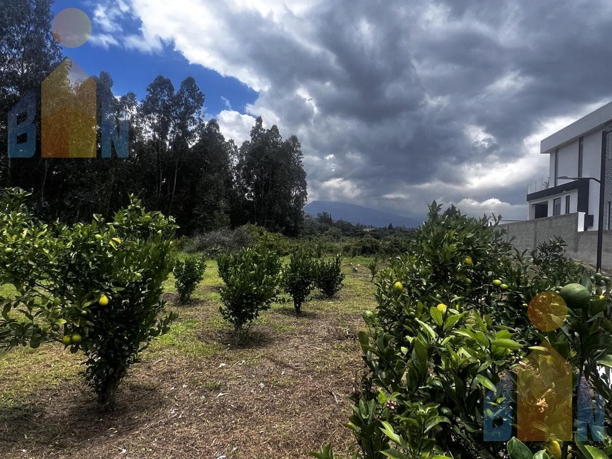 Terreno en venta en Quito, Pichincha