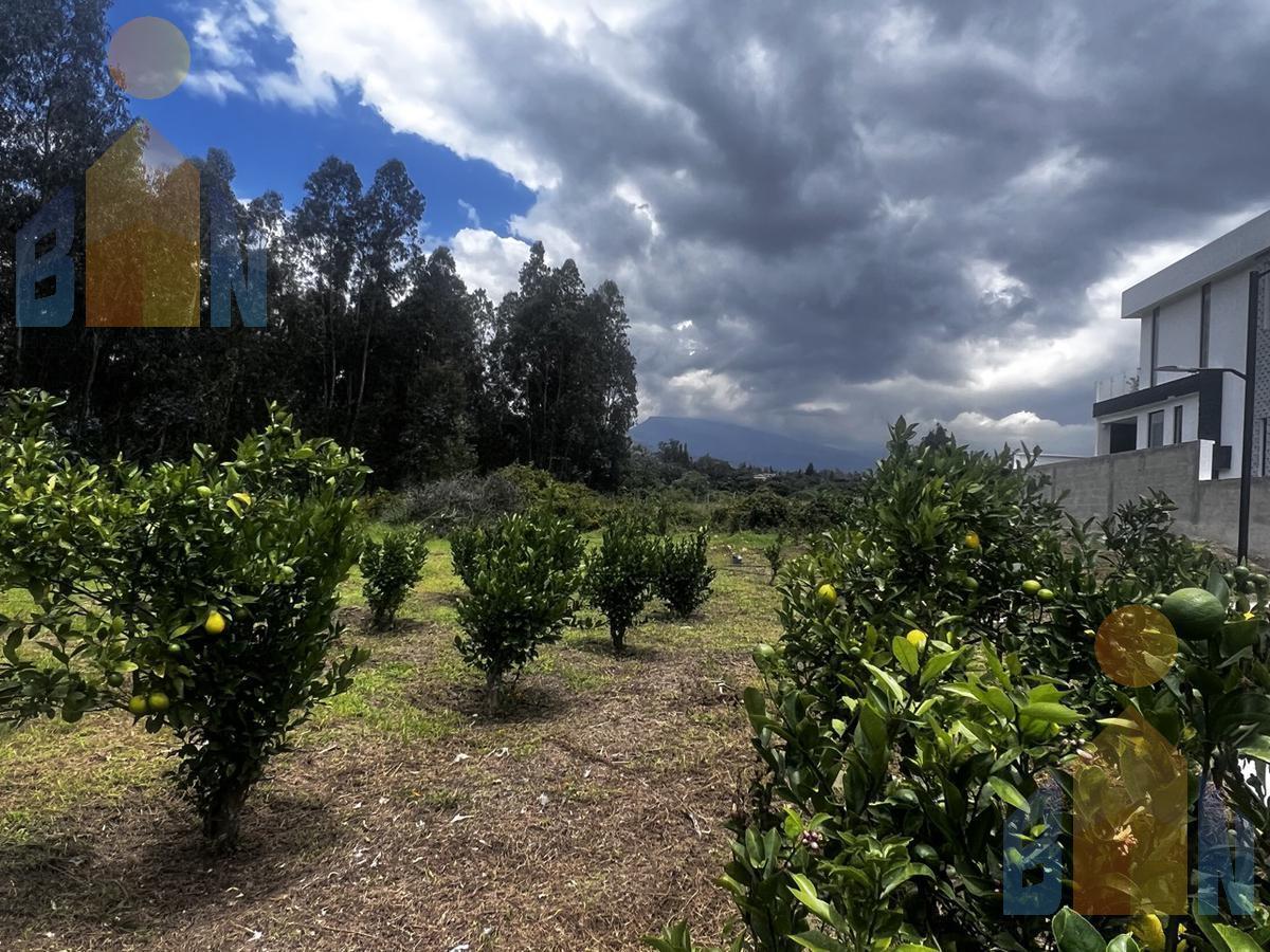 Terreno en venta en Quito, Pichincha