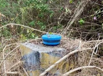 Terreno Para Sembríos 9 Hectáreas Km²6 Vía a La Costa C. Alvarez, Guayas — imagen 3