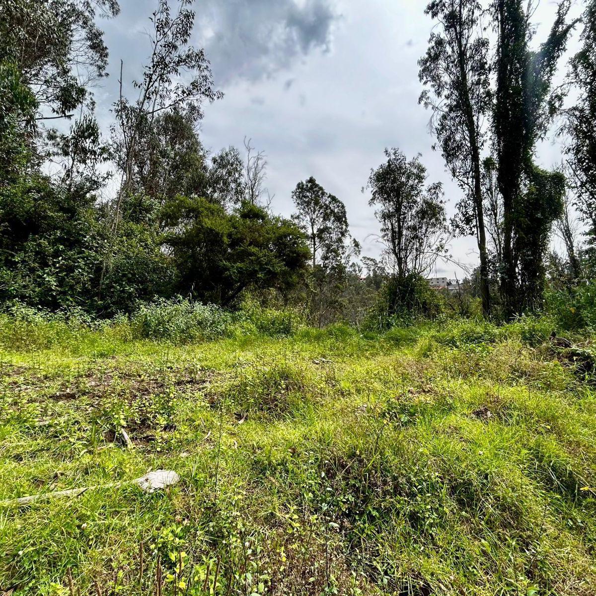Terreno en venta en Quito, Pichincha