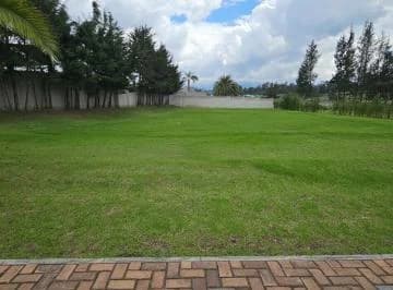Terreno de Venta en Puembo Dentro de Urbanización — imagen 5