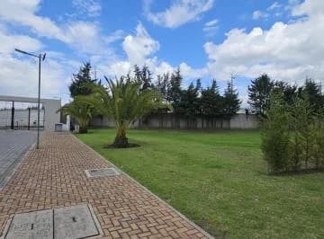 Terreno de Venta en Puembo Dentro de Urbanización — imagen 3
