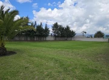 Terreno de Venta en Puembo Dentro de Urbanización — imagen 2