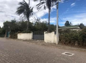 Lote Terreno Ruta Viva Vía Pifo — imagen 5