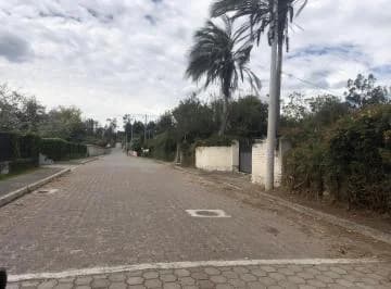 Lote Terreno Ruta Viva Vía Pifo — imagen 4