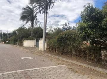 Lote Terreno Ruta Viva Vía Pifo — imagen 3