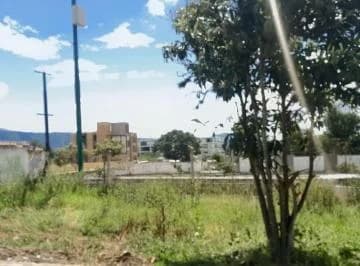 Rento Terreno 3.135 m² en La Ruta Viva Sector La Ceramica — imagen 5