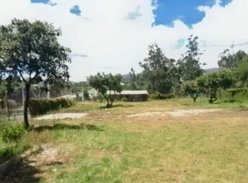 Rento Terreno 3.135 m² en La Ruta Viva Sector La Ceramica — imagen 4