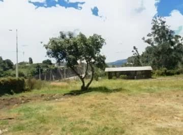 Rento Terreno 3.135 m² en La Ruta Viva Sector La Ceramica — imagen 2