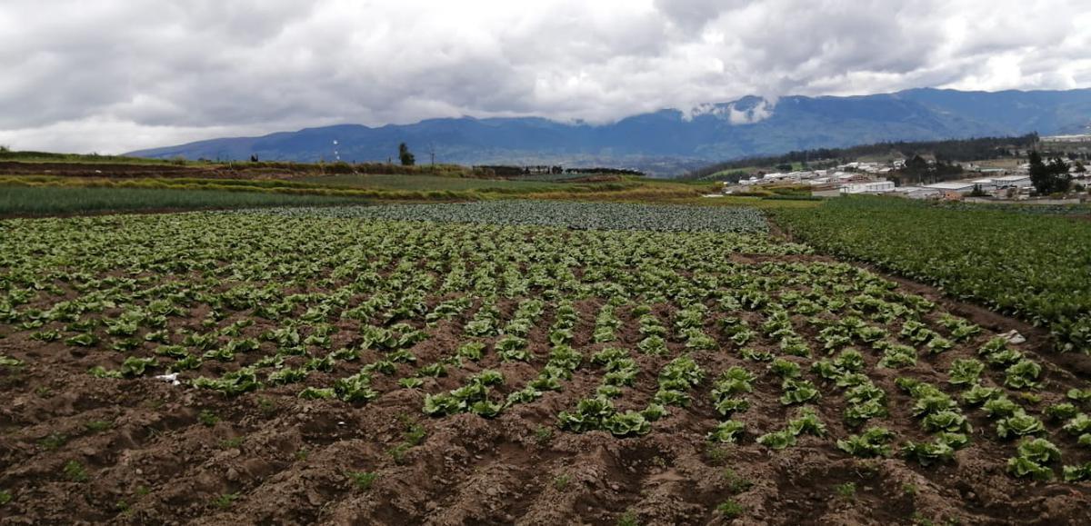 Terreno en venta en Ambato, Tungurahua