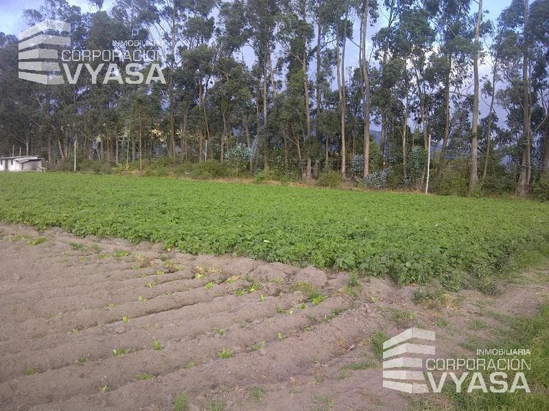 Terreno en venta en Quito, Pichincha