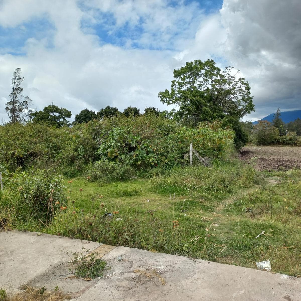 Terreno en venta en Antonio Ante, Imbabura
