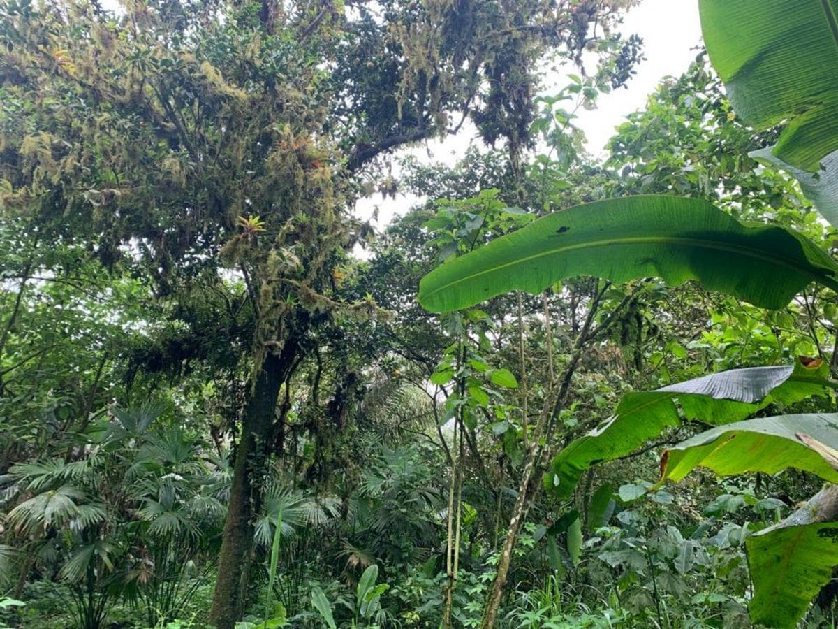 Terreno en venta en Manta, Manabí
