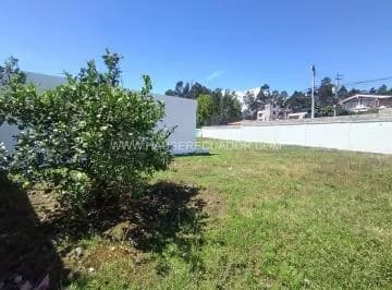 Terreno Comercial 1.060 m² en Conocoto con 103 m de Frente | Alta Visibilidad y Gran Potencial — imagen 3