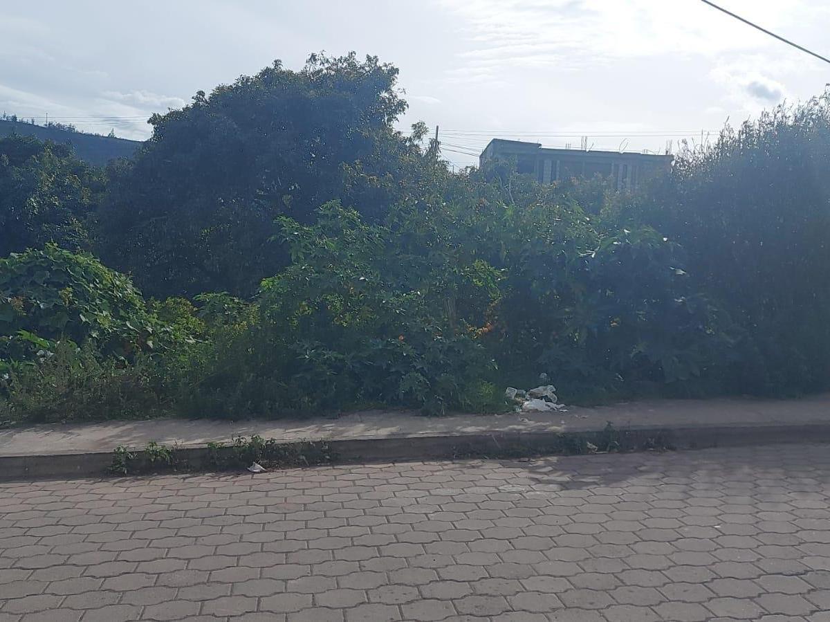 Terreno en venta en Patate, Tungurahua