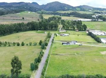 Vendo Terreno Plano Urbanizado, Exclusivo, Sector Tabacundo — imagen 3