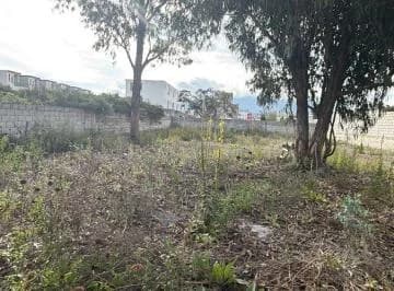 Arriendo Terreno Calderón Todo Tipo de Negocio — imagen 5