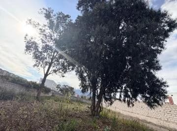 Arriendo Terreno Calderón Todo Tipo de Negocio — imagen 4