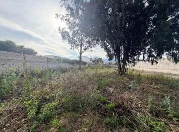 Arriendo Terreno Calderón Todo Tipo de Negocio — imagen 2
