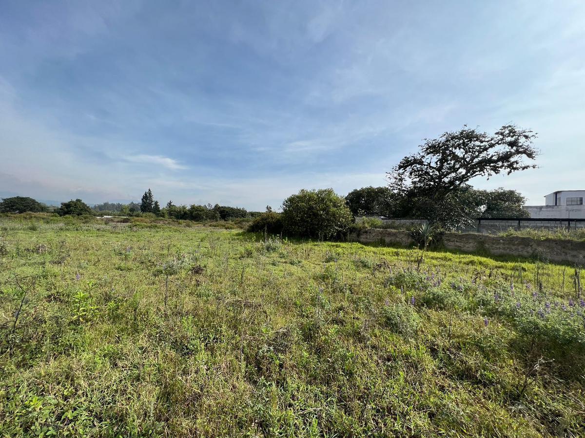 Terreno en venta en Quito, Pichincha