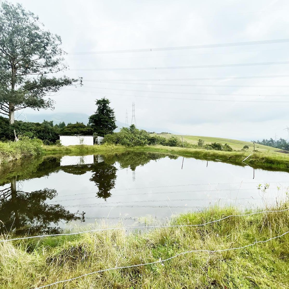 Terreno en venta en Quito, Pichincha