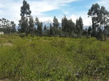 Arriendo Terreno en La La Esperanza - Tabacundo — imagen 5