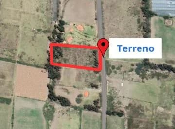 Arriendo Terreno en La La Esperanza - Tabacundo — imagen 4