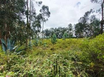 Arriendo Terreno en La La Esperanza - Tabacundo — imagen 3