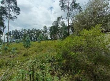 Arriendo Terreno en La La Esperanza - Tabacundo — imagen 2