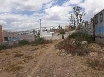 Terreno en Alquiler 1.500 m² en San José de Pomasqui — imagen 4
