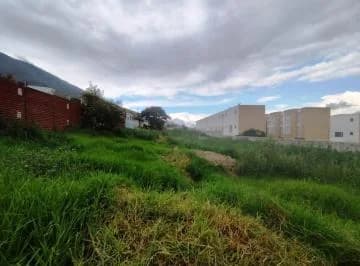 Terreno en Alquiler 1.500 m² en San José de Pomasqui — imagen 3