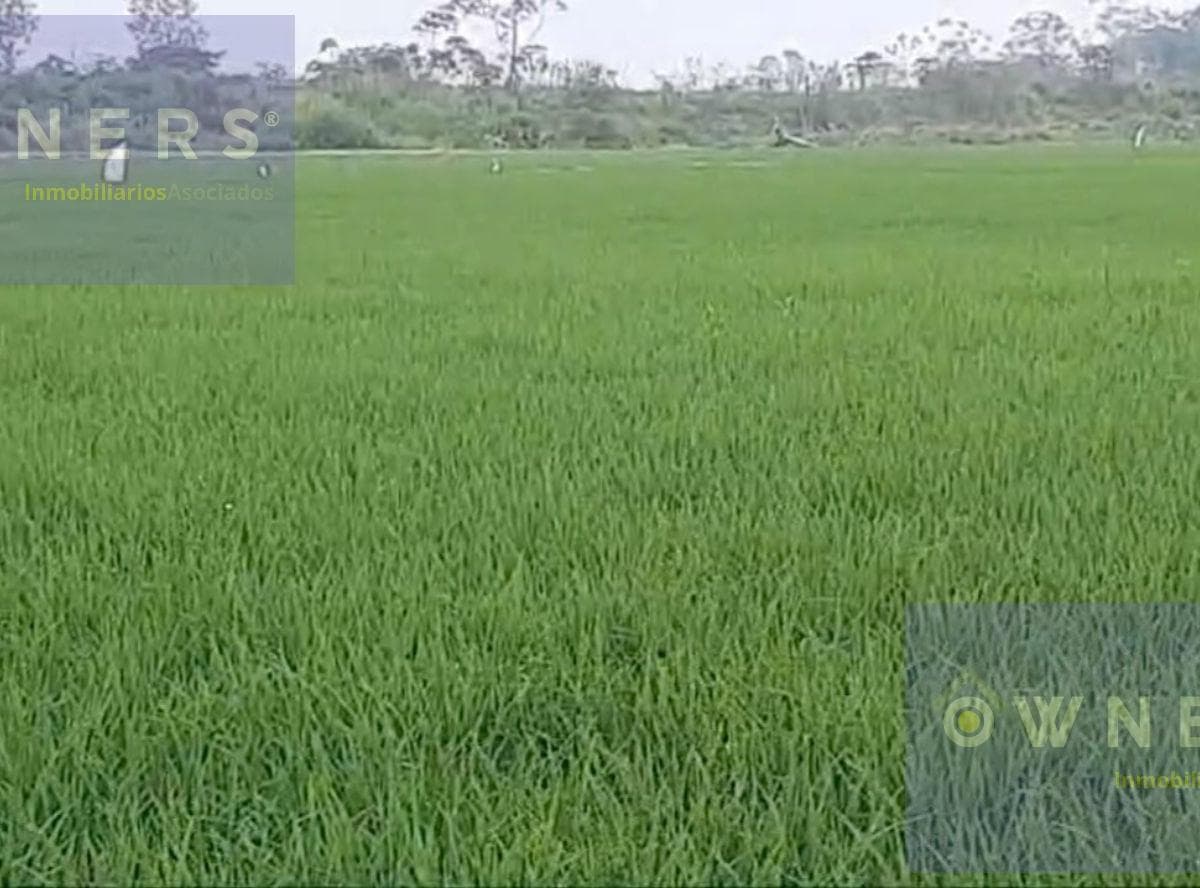 Propiedad en venta en Urdaneta, Los Ríos