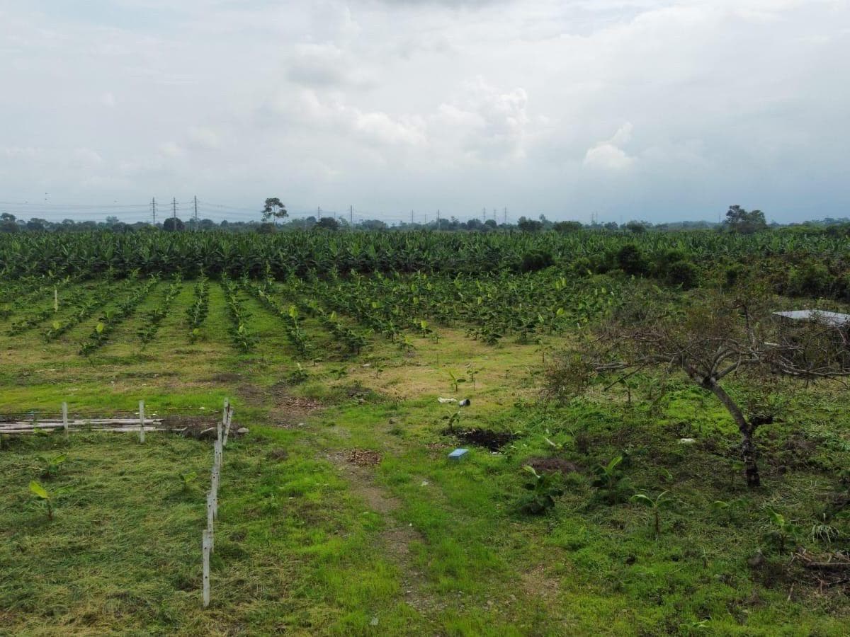Terreno en venta en Yaguachi, Guayas