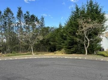 Puembo - Urbanización Arrayanes 2.364 m² en Venta Terreno Unifamiliar — imagen 5