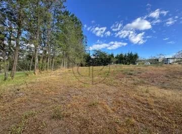 Puembo - Urbanización Arrayanes 2.364 m² en Venta Terreno Unifamiliar — imagen 4