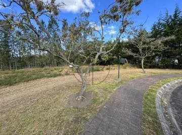 Puembo - Urbanización Arrayanes 2.364 m² en Venta Terreno Unifamiliar — imagen 3