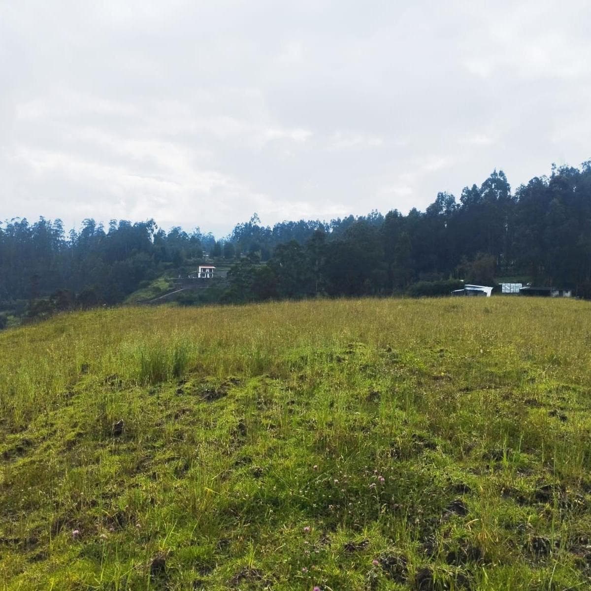 Terreno en venta en Quito, Pichincha